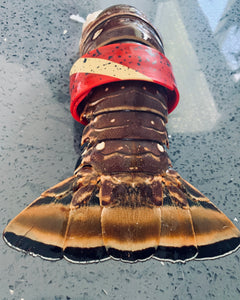 Dive Flag Lobster Gauge