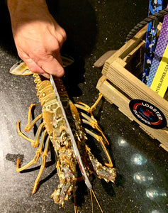 Gray Camo Lobster Slapper Gauge